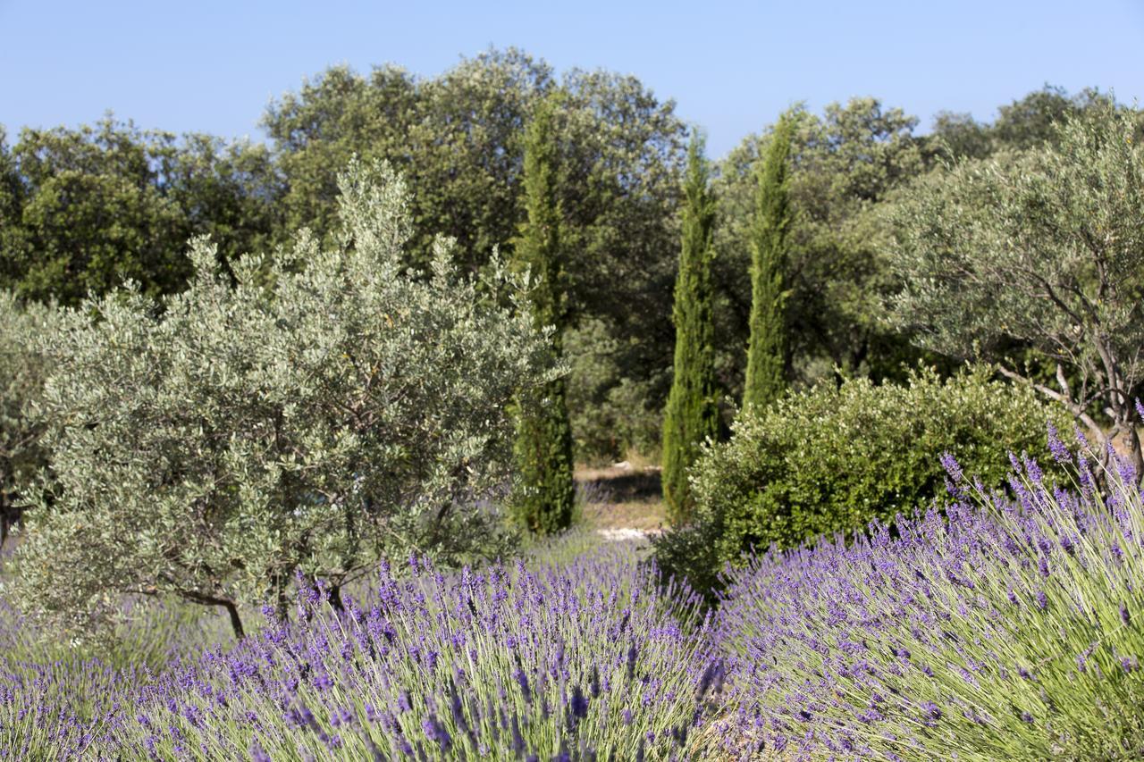 克勒露营水疗酒店 Roussillon en Isere 外观 照片